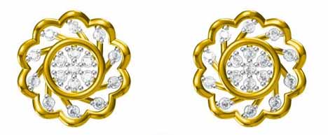 Earrings PE145