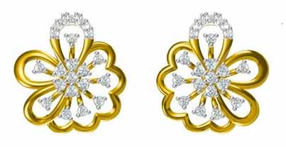 Earrings PE102