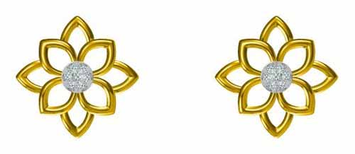 Earrings PE162